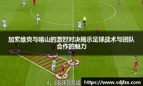 完美体育官网
